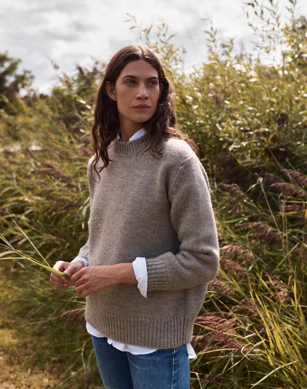 The MASHAM 03 - Oat | Navygrey