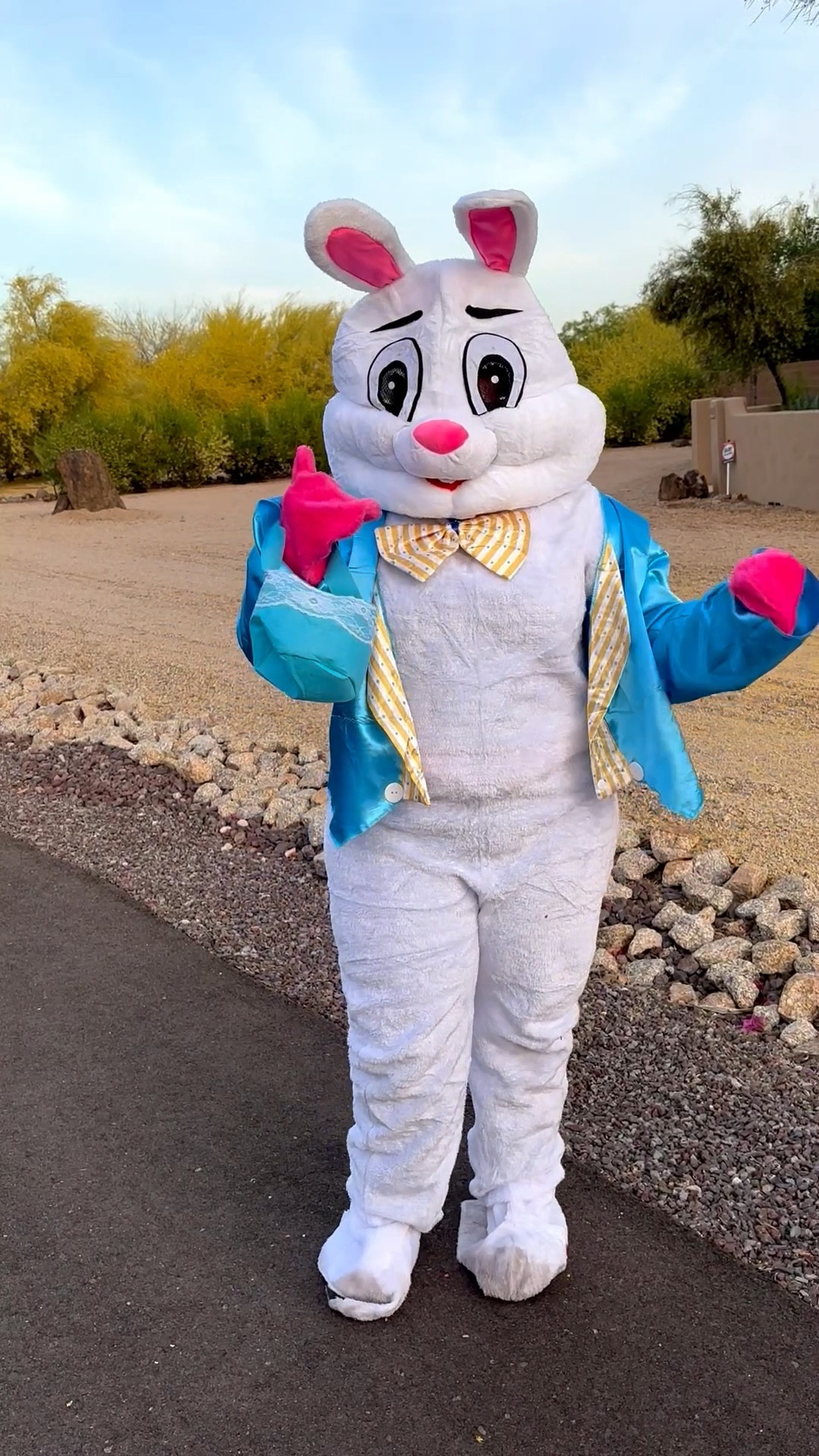 Highly recommend a family Easter bunny costume! Costume from Amazon (came with all the accessories) under $50! 

#easterbunnycostume #bunnycostune #amazonfinds #amazon #eastertradition #easteregghunt #affordablefinds 

#LTKmomlife #LTKSaleAlert #LTKSeasonal