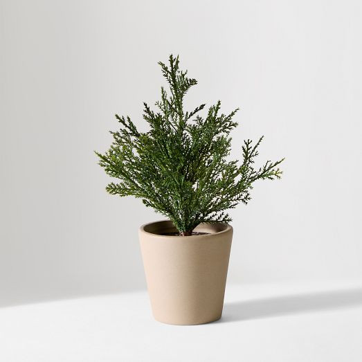 Faux Potted Subtle Glitter Pine Tabletop Tree | West Elm (US)