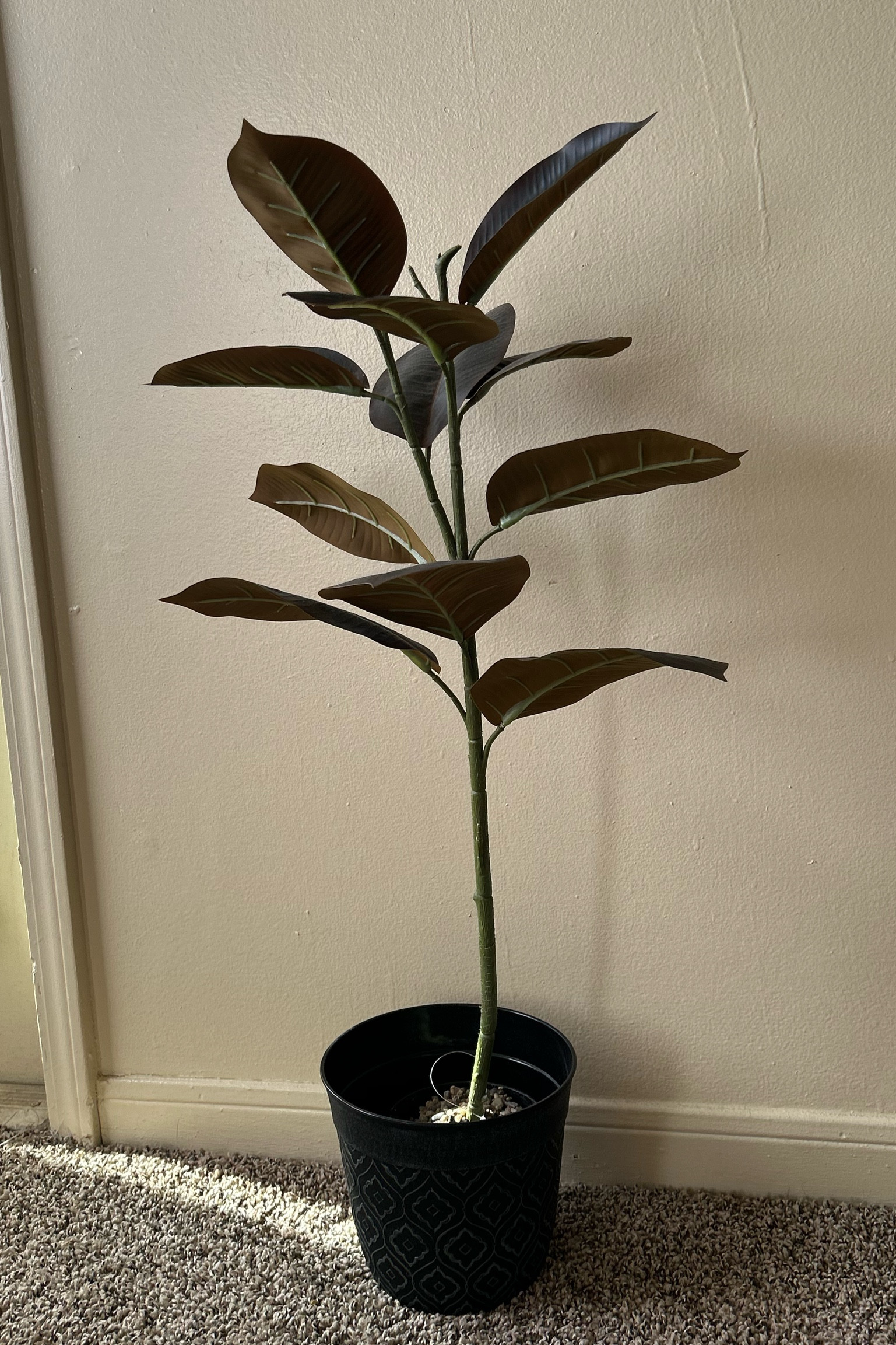 Home decor 🤍

#LTKStyleTip #LTKSaleAlert #LTKHome