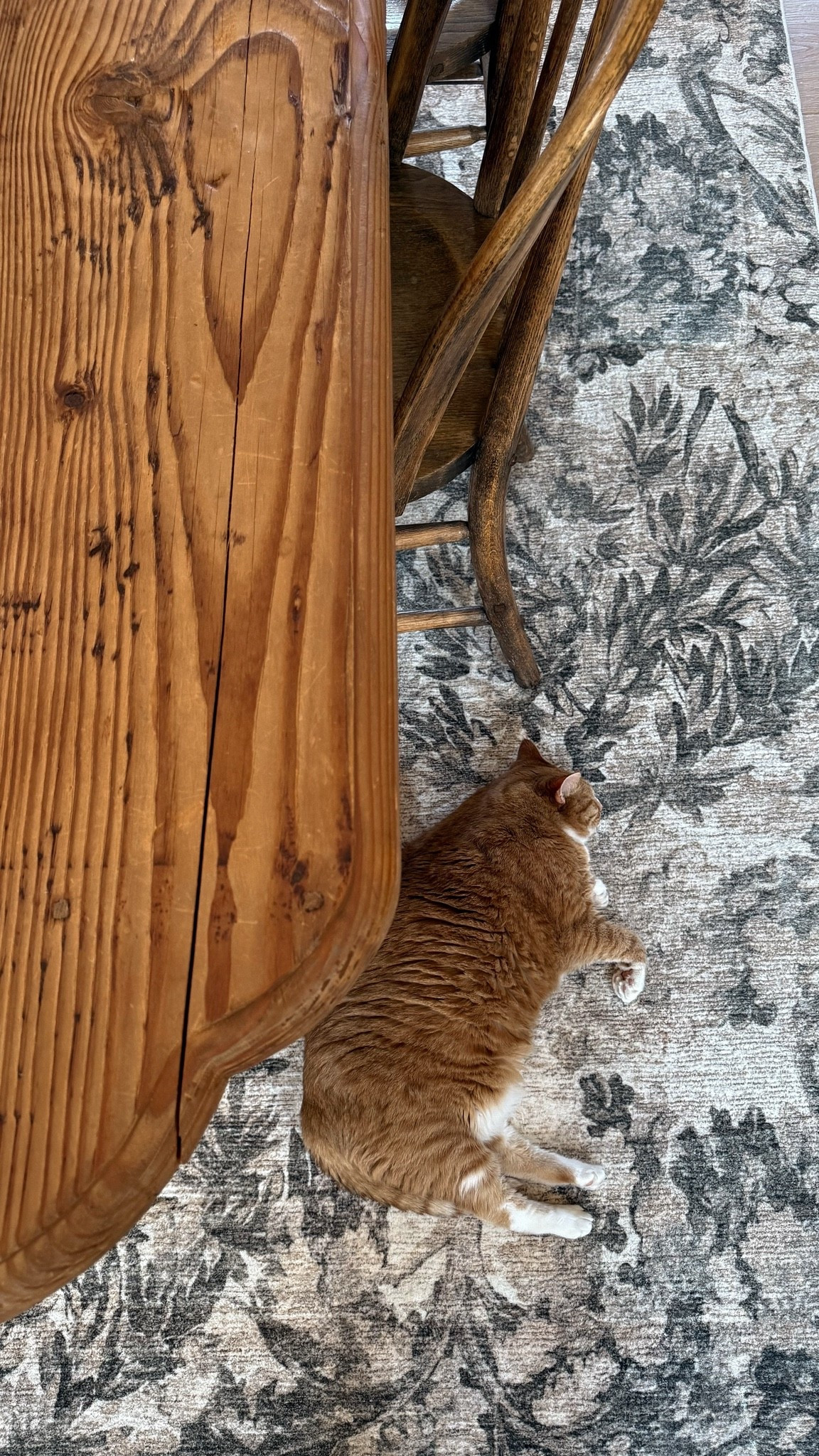 Our rugs are the plushest things we’ve ever walked on. Truly. ☁️ This style is definitely more green in person as shown in the online listing. My iPhone camera sucks.

#LTKHome