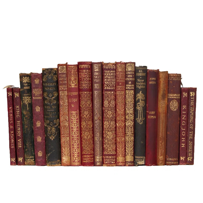 ColorPak Petite Vintage Decorative Book | Wayfair Professional