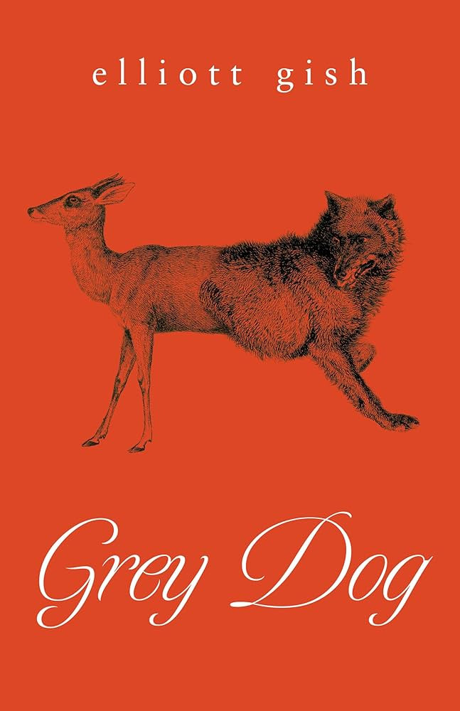 Grey Dog | Amazon (US)