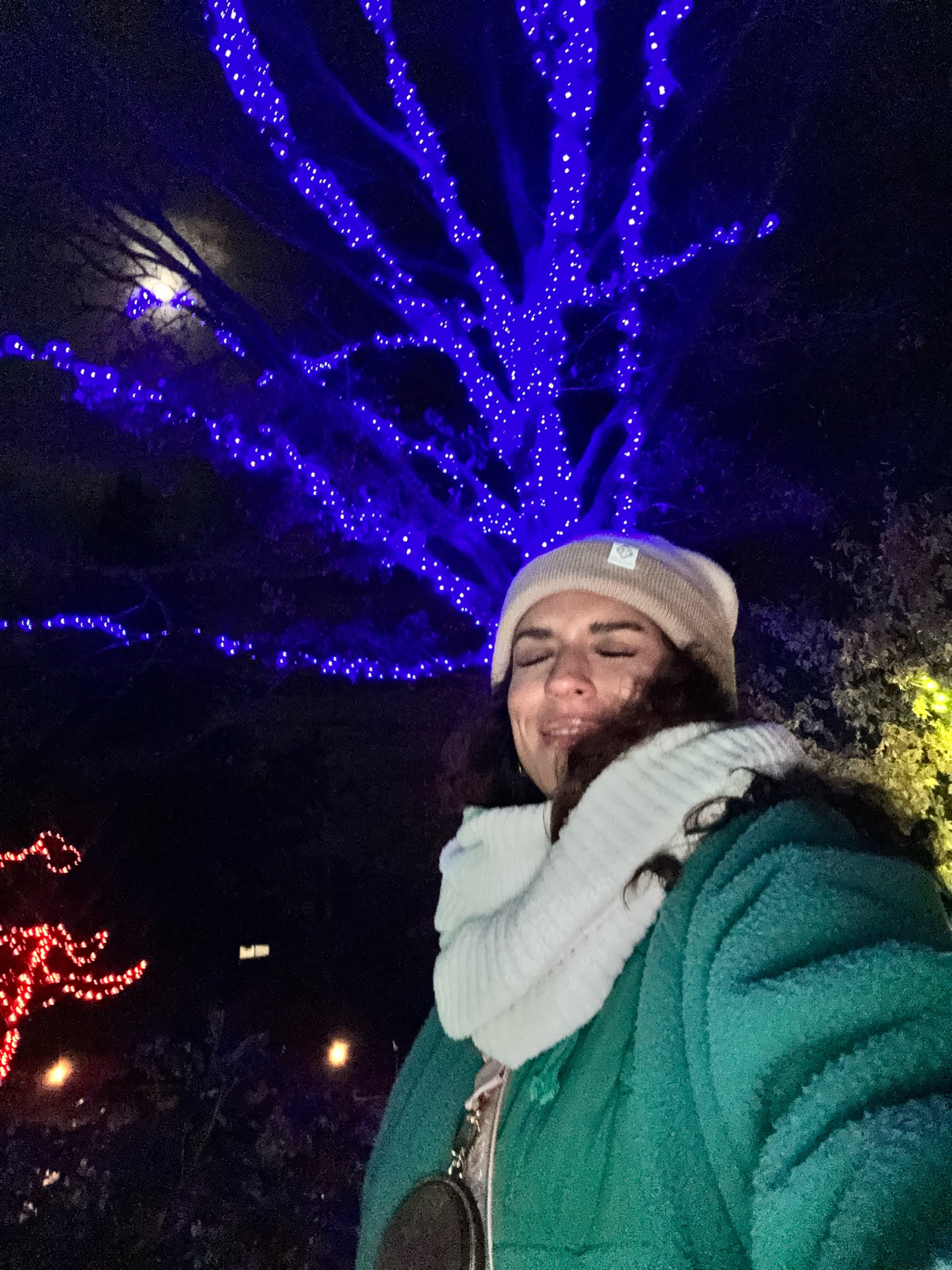 #LTKSeasonal #LTKCyberWeek #LTKHoliday