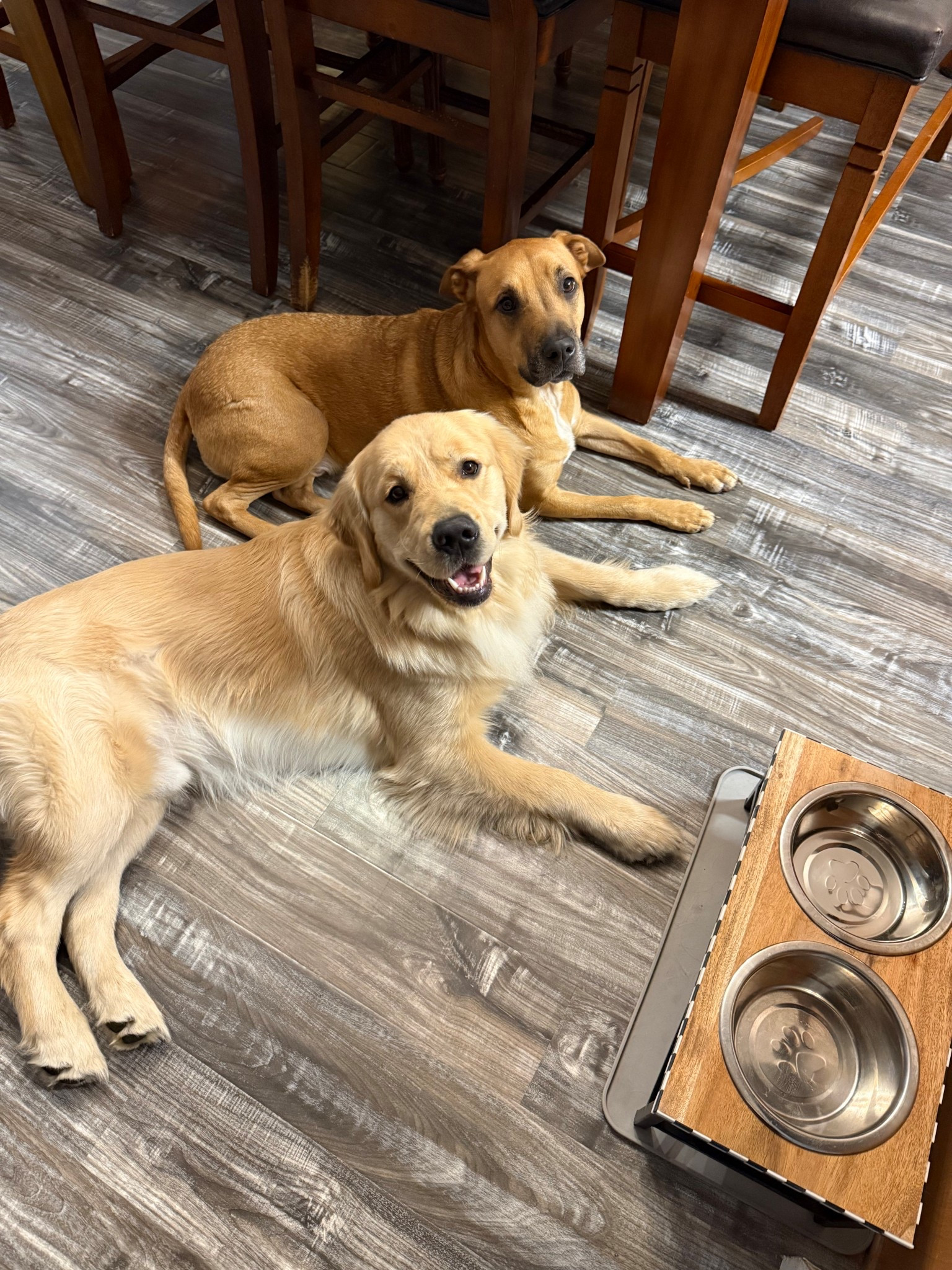 Ready for the cold weekend with my boys🐾 coming home to them is the best part of my day, we got our walk in tonight before it’s freezing this weekend 🥶❄️


#LTKpets

#LTKstorytime #LTKdayinmylife #LTKHome