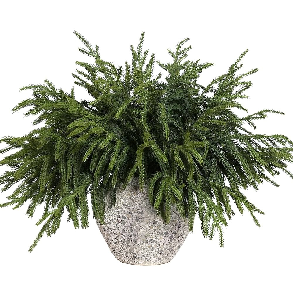 Visit the YXZZWL Store | Amazon (US)