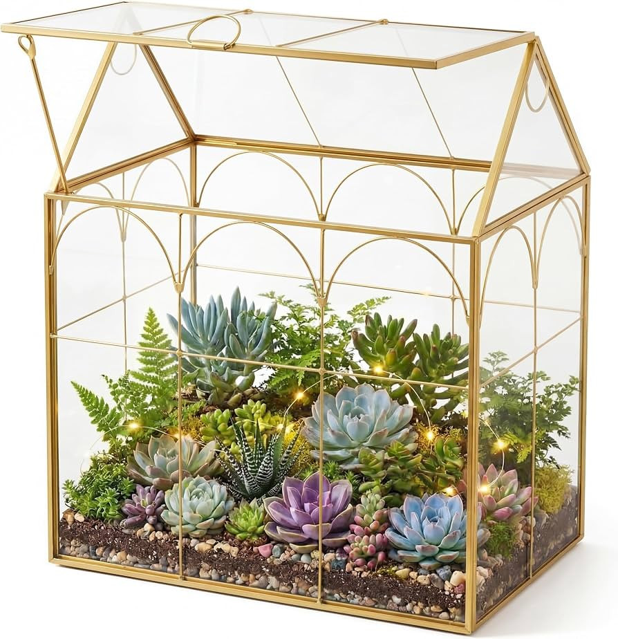 Fochier Geometric Glass Terrarium Planter, Handmade House-Shaped with Front Opening Door, Small S... | Amazon (US)