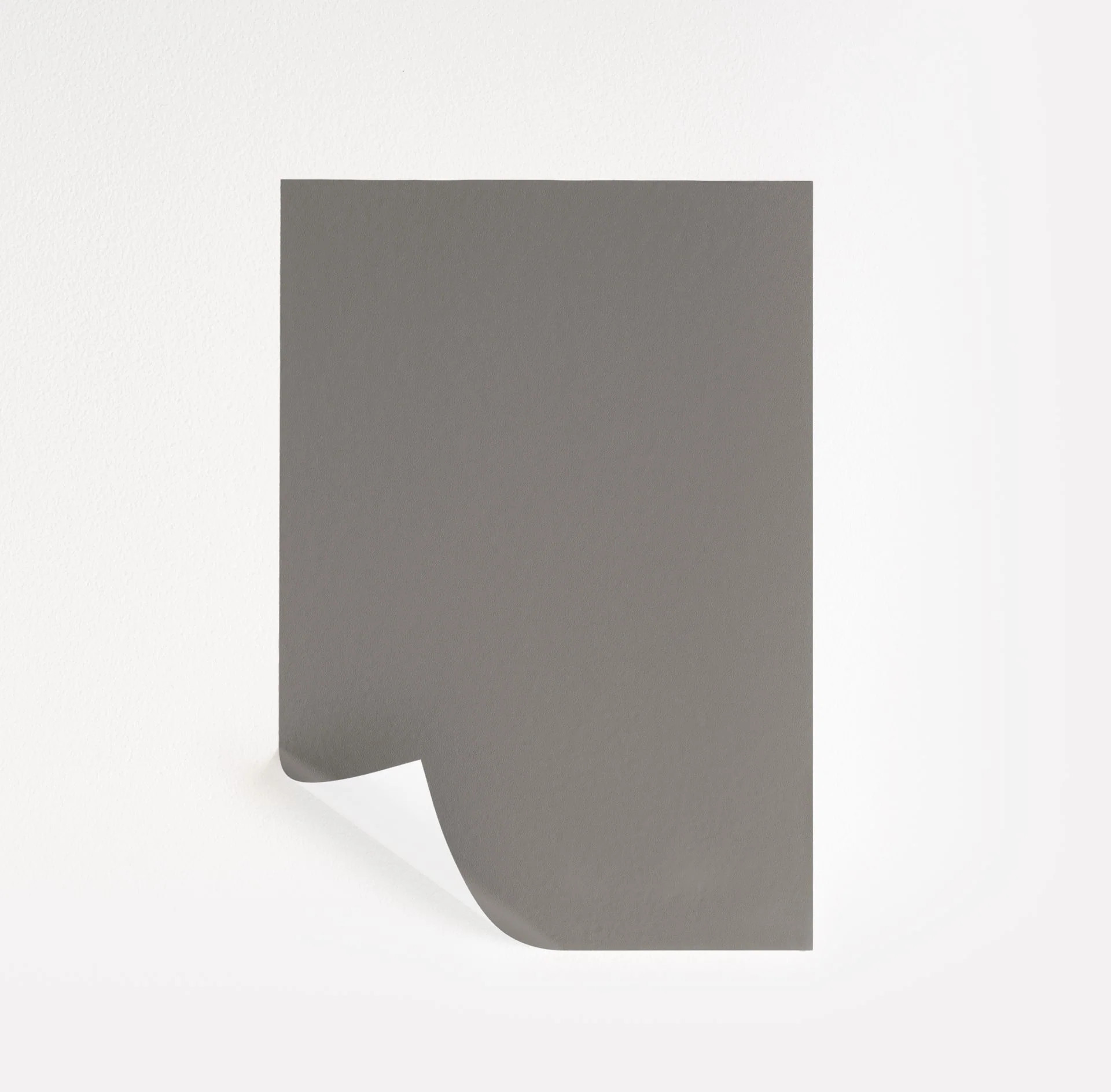 Mole's Breath  Paint Sample | Samplize
