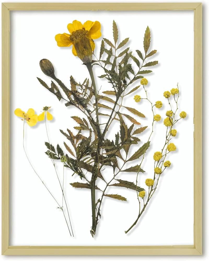 Frametory, Floating Picture Frame 11x14 - Gold Metal Photo Frame - Real Glass - for Wall Mount or... | Amazon (US)