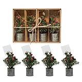Amazon.com: Creative Co-Op 5-1/2"H Faux Evergreen Place Card Holders in Galvanized Metal Pot, Box... | Amazon (US)