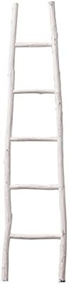Creative Co-op Decorative Painter Wood Blanket Ladder, White | Amazon (US)
