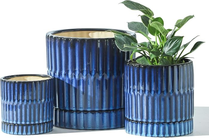 HASENSE Ceramic Plant Pots Set of 3 (8+6+4.6 Inch), Flower Planters with Drainage Hole and Saucer... | Amazon (US)
