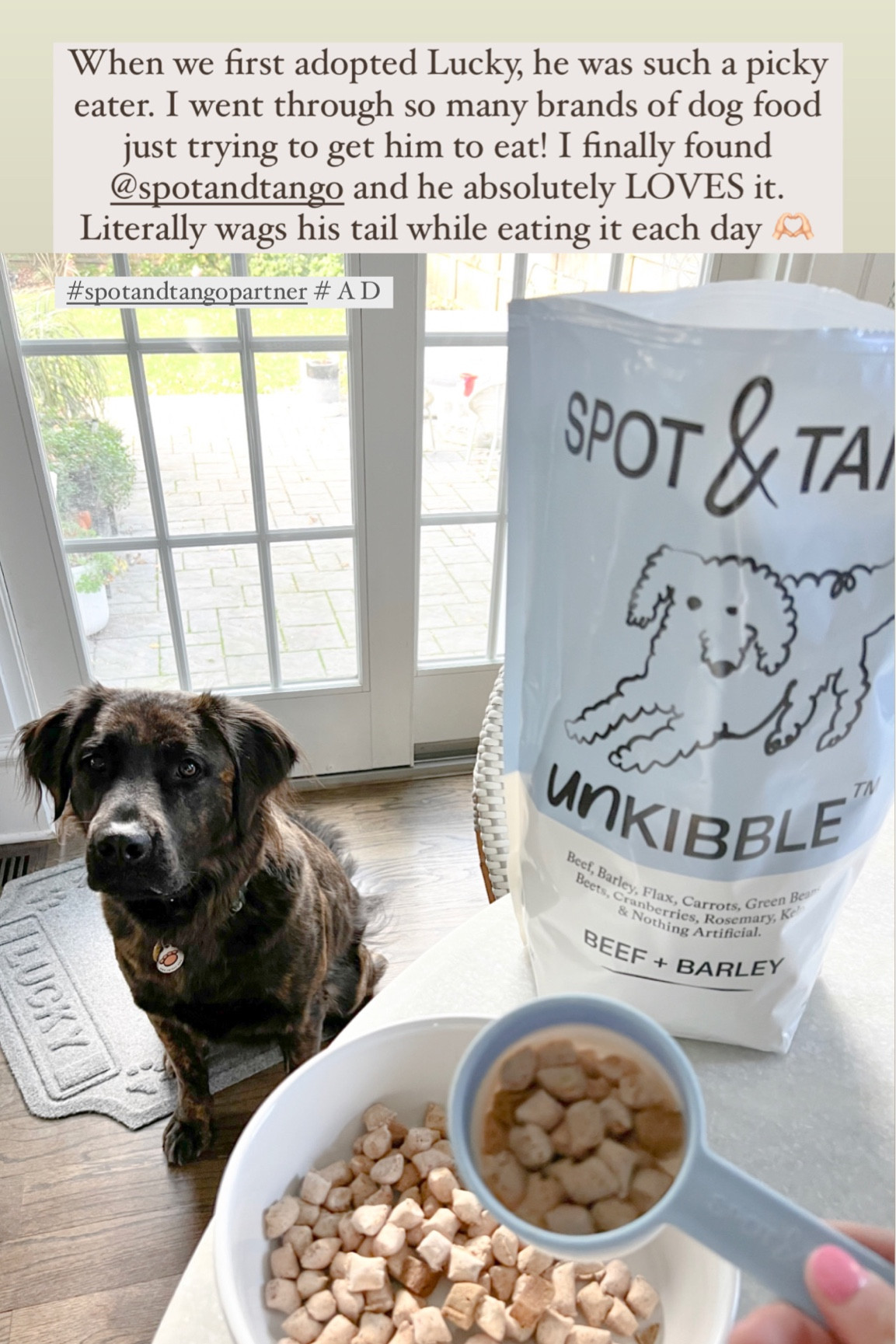 UnKibble curated on LTK