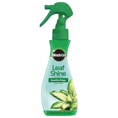 Miracle-Gro 8-fl oz Leaf Shine Lowes.com | Lowe's