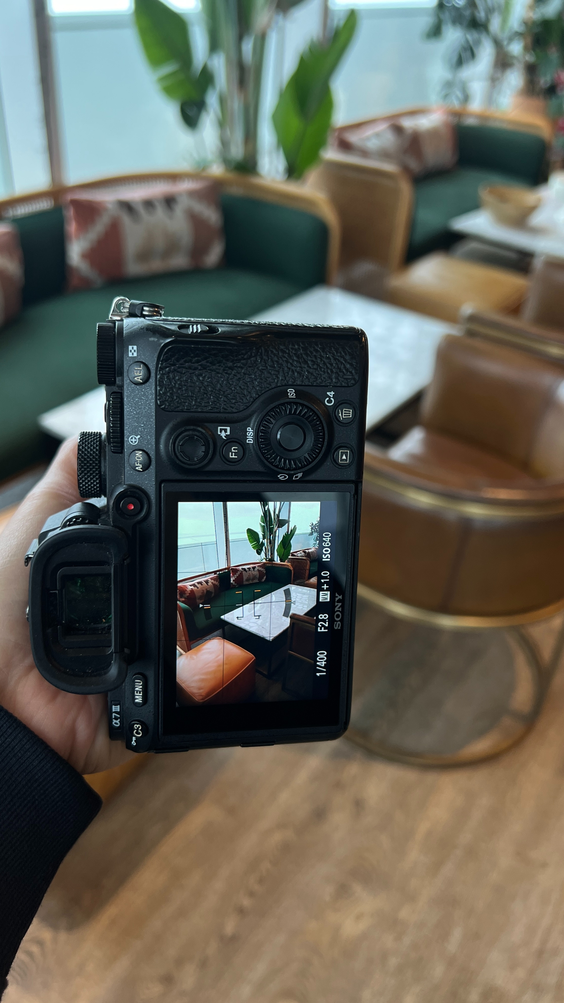 Starting the year focused on creating more content. These are the camera accessories I use daily.

cameras, camera accessories, wireless mics, wireless microphones, content creation tools, creator essentials 

 

#LTKFindsUnder100