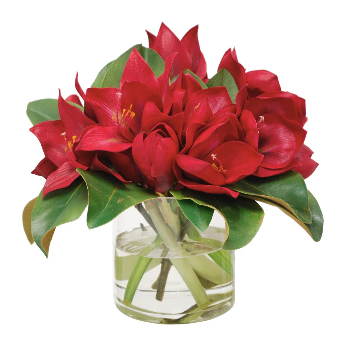 Amaryllis Arrangement in Vase | Wayfair North America
