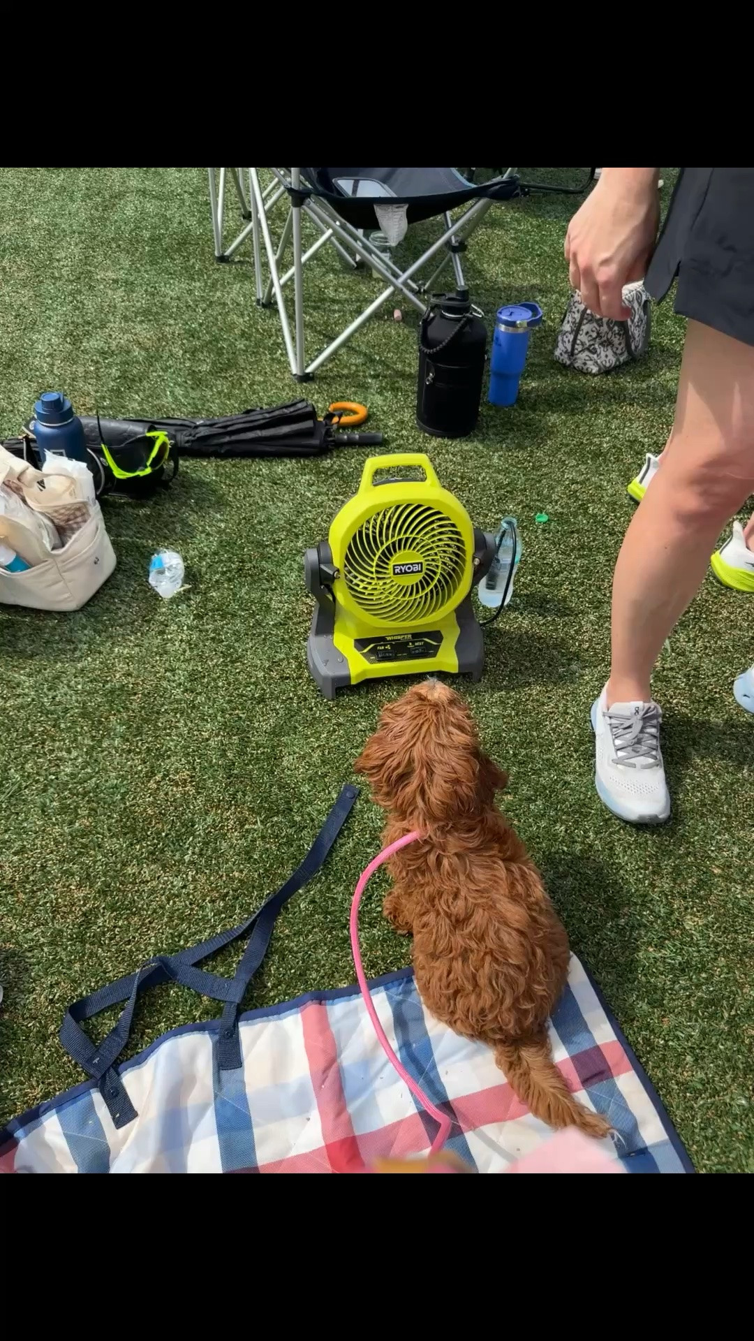Summertime heat! Our puppy loved this portable mister fan at the game! #summertime

#LTKmomlife #LTKdayinmylife #LTKActive