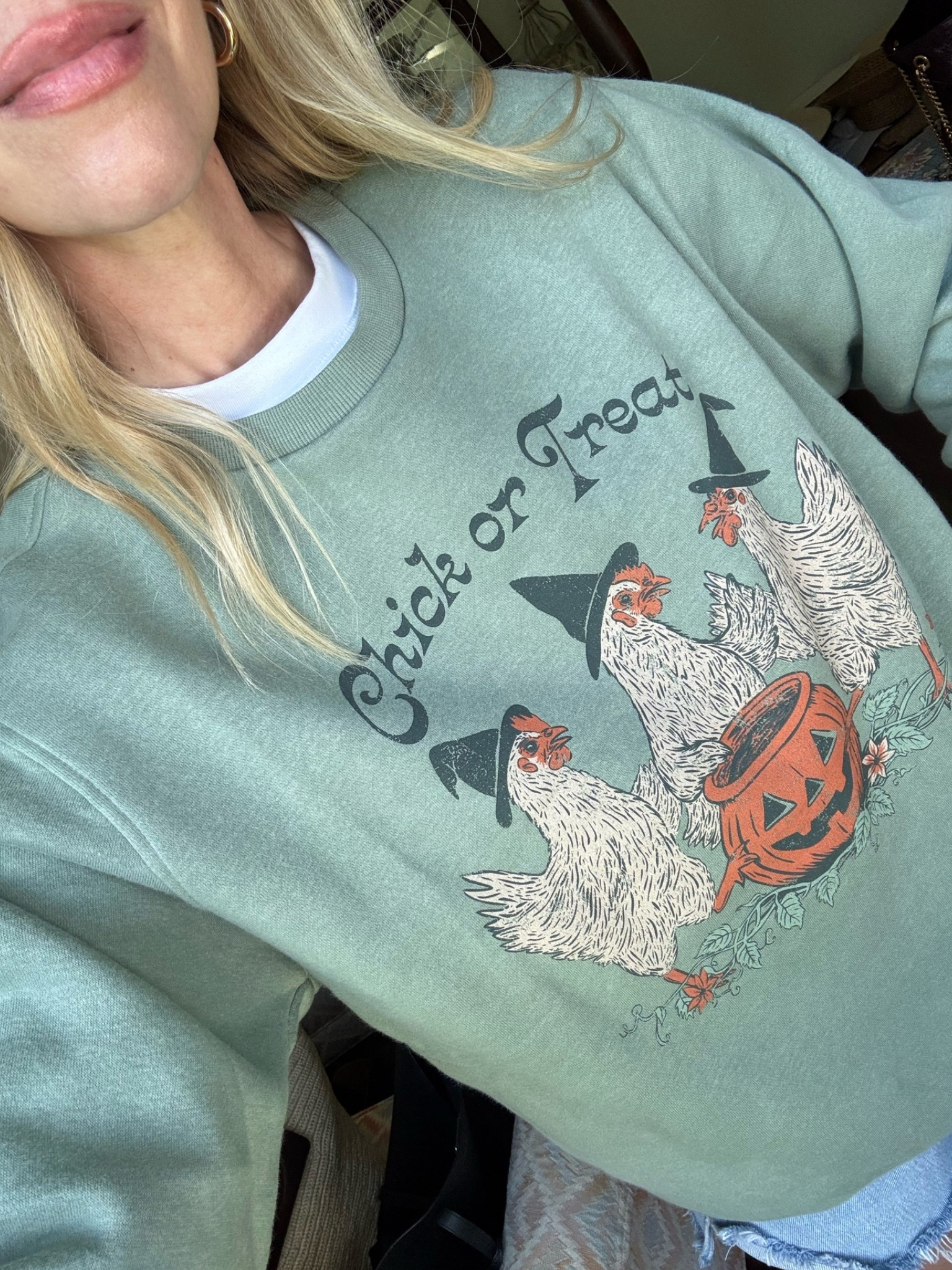Cutest Halloween sweatshirt for chicken lovers 🐓

#LTKSeasonal