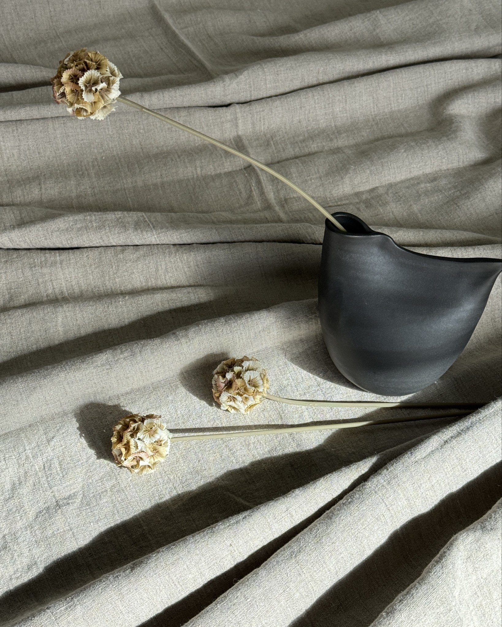 Fall is here and I love adding items with meaning into my home.  Natural textures that bring quiet charm. Here are my favorites from @bloomist

#LTKSeasonal #LTKFallSale #LTKHome