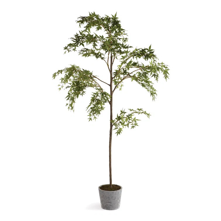 Criss 84'' Faux Maple Tree Tree in Ceramic Pot | Wayfair North America