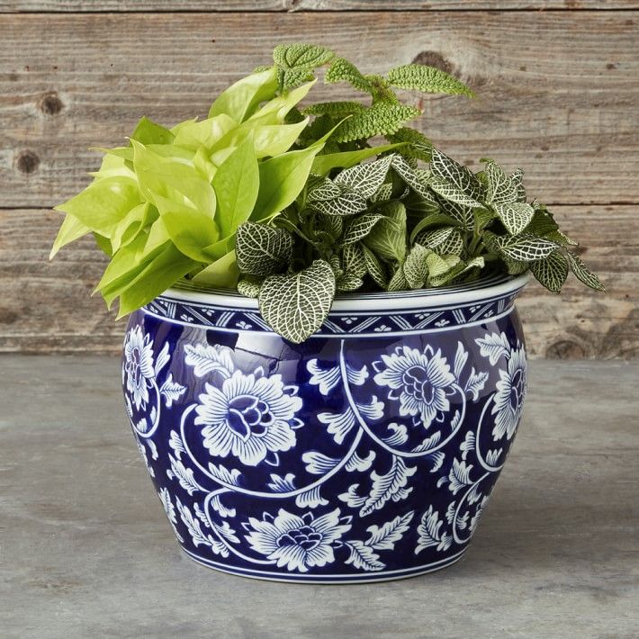 Blue & White Ceramic Planter, Medium | Williams-Sonoma