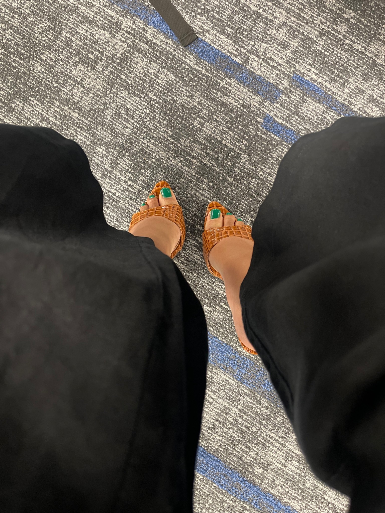 Fav mules! 