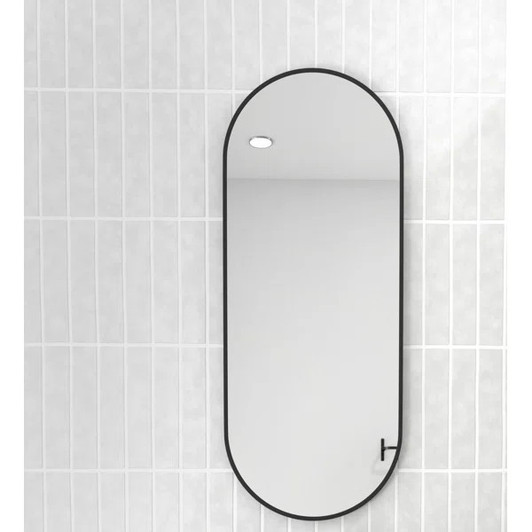 Pill Shape Modern & Contemporary Vanity Mirror | Wayfair Professional