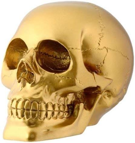 Gold Skull Head Collectible Skeleton Decoration Figurine | Amazon (US)