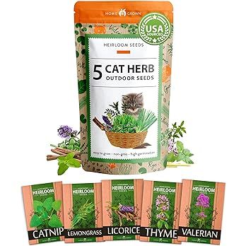 2100+ Cat Grass Seeds - Catnip Seeds, Lemongrass, Licorice, Thyme Seeds, Valerian - Grow Cat Gras... | Amazon (US)