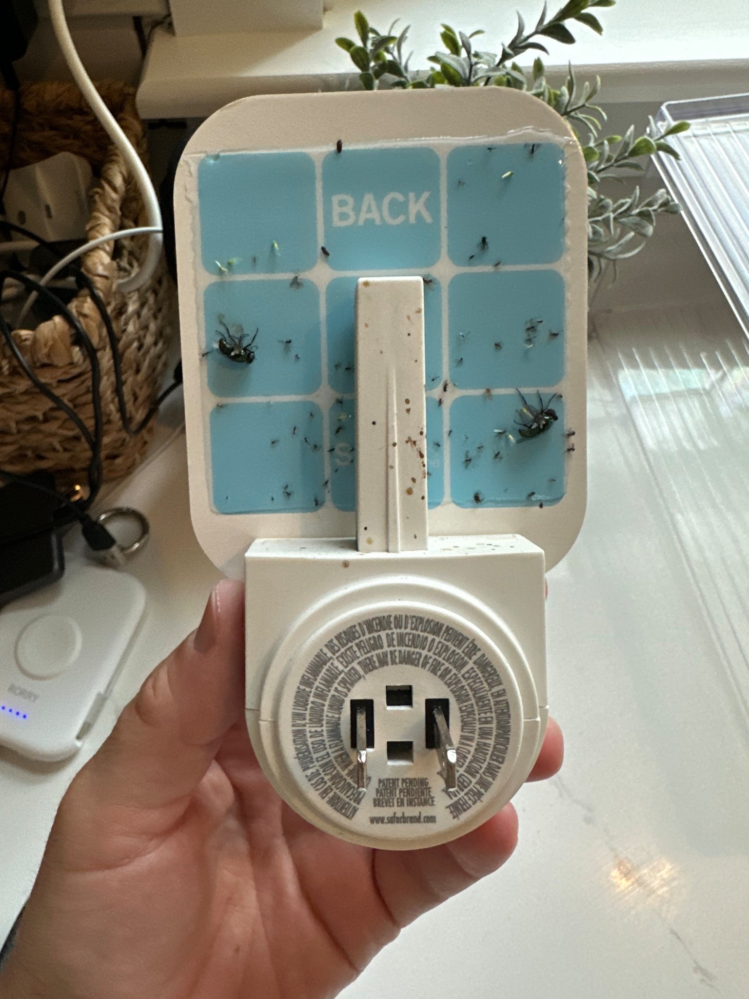 The BEST bug catcher!!! along with my other Amazon prime sale faves! 

@amazon, #founditonamazon #amazonpartner @amazonbeauty, @amazonfashion, @amazonhome

#LTKFindsUnder50 #LTKHome #LTKSaleAlert