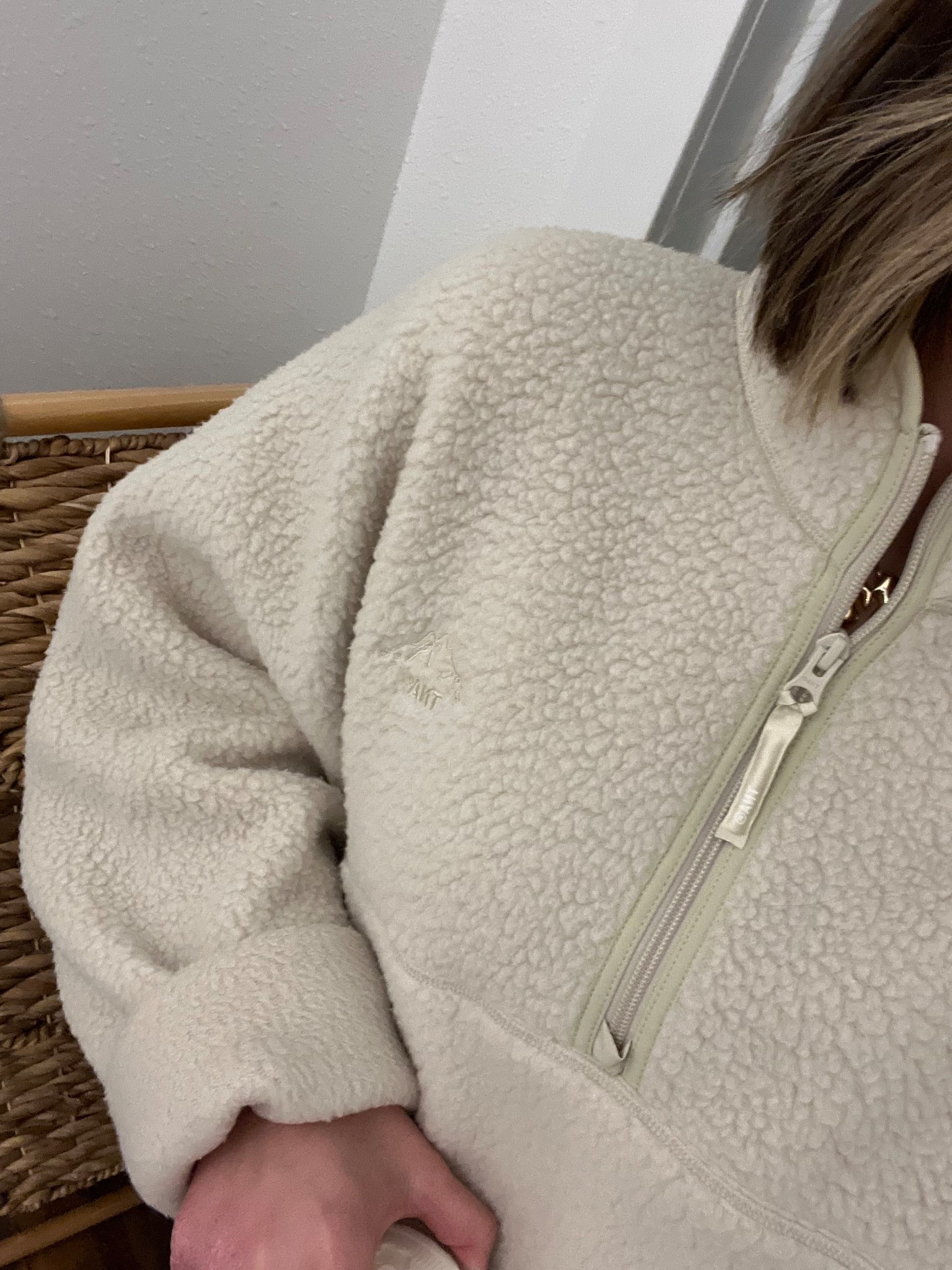 Aritzia Polartec quarter zip high hip 

#LTKSeasonal #LTKPetite #LTKHalloween