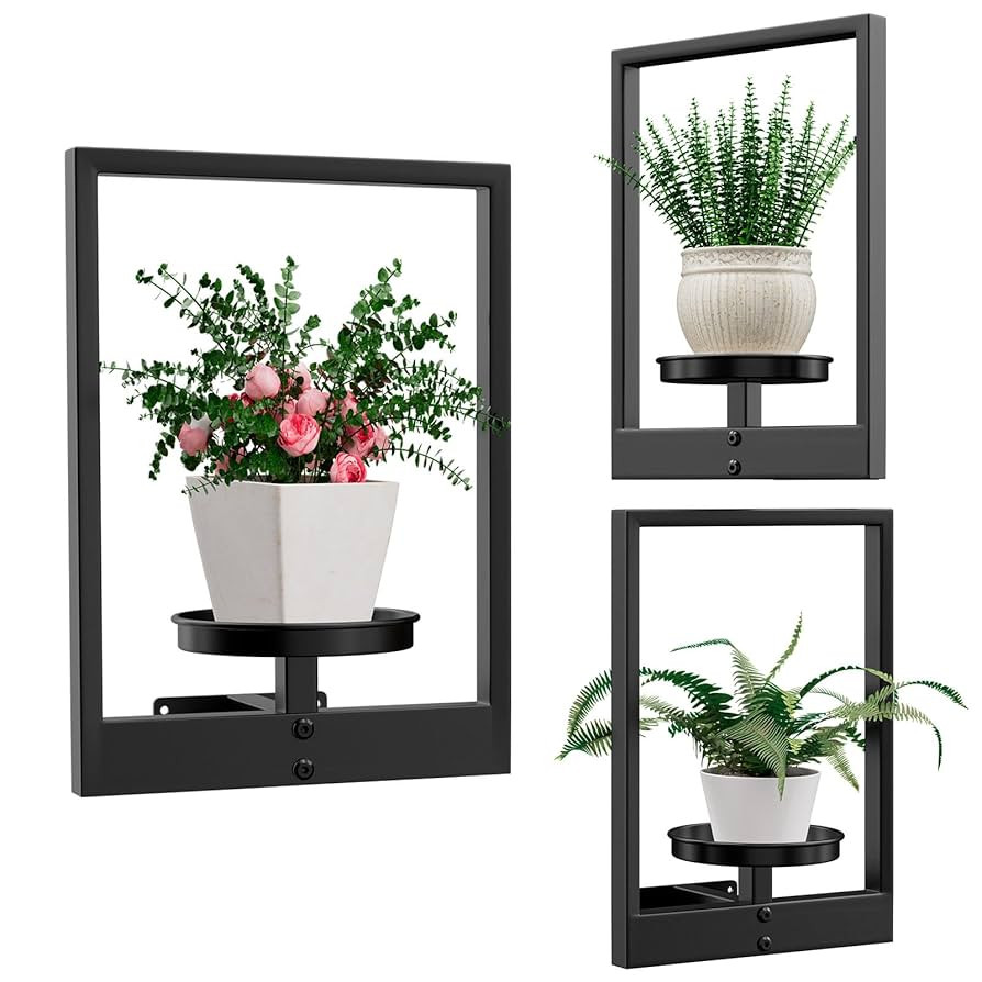3-Pack Plant Picture Frames Wall Decor Holder, Wall Hanging Planters for Indoor Plants, Hanger Ou... | Amazon (US)