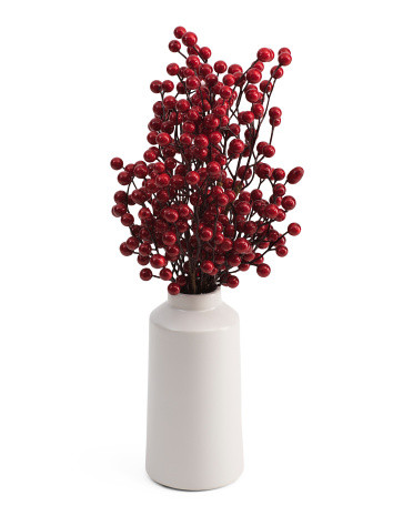 20in Berry In White Ceramic Pot | TJ Maxx