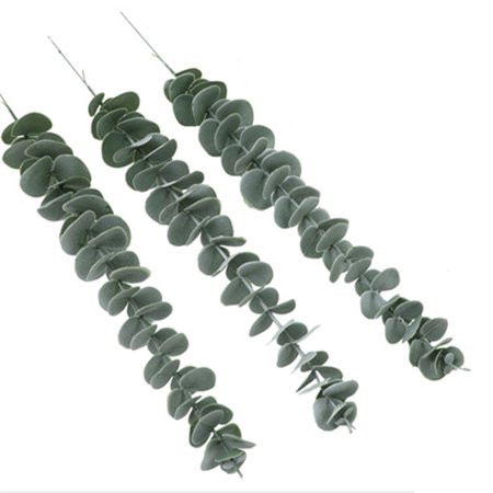 24Pcs Eucalyptus Branches Natural Eucalyptus Stems Real for Shower Eucalyptus Plant Indoor Wedding D | Walmart (US)