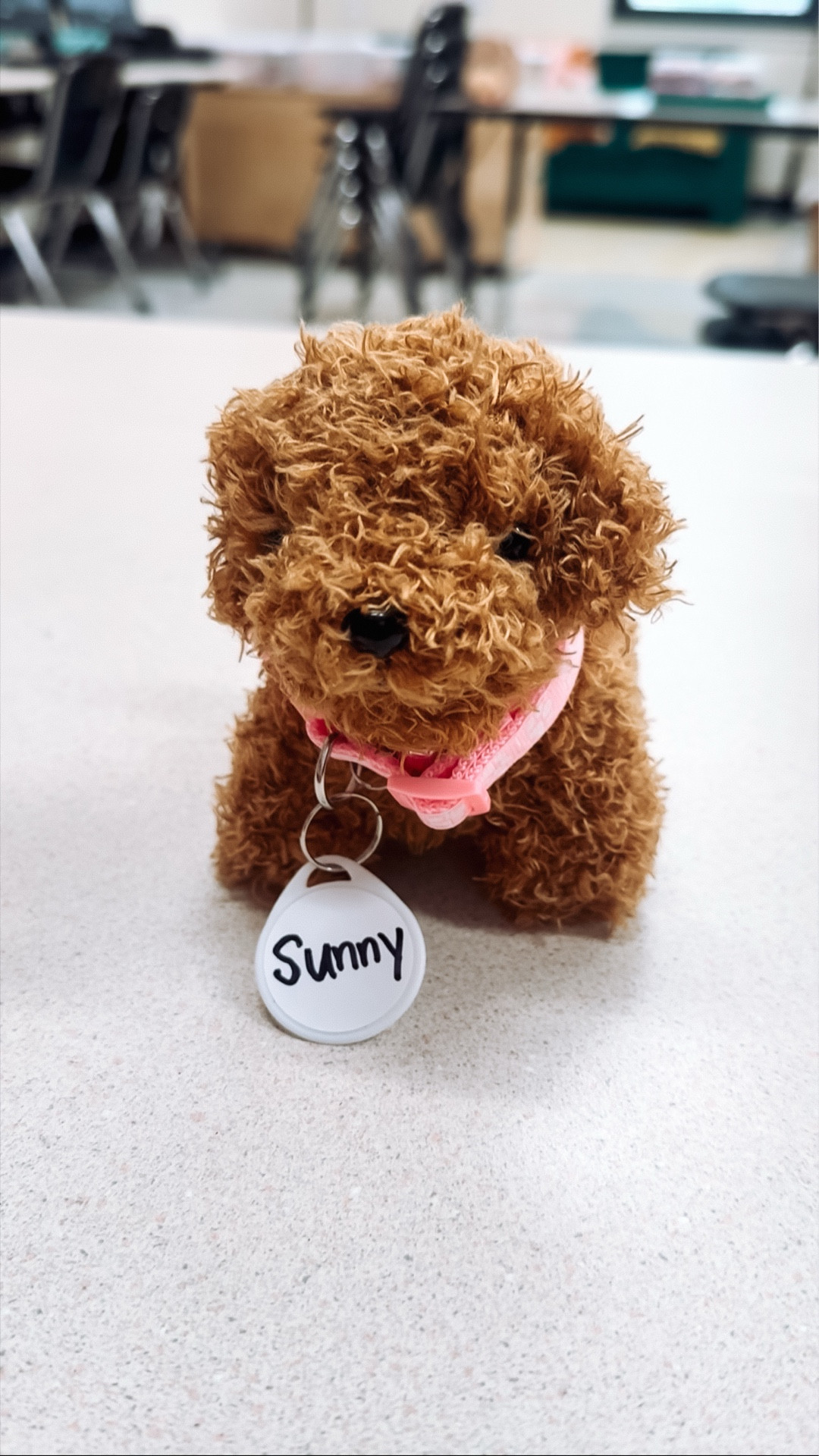 Yesterday they got to add collars to their puppies! 🐶 

We have loved this bright spot of joy on our week!🥰



#LTKKids #LTKstorytime #LTKSaleAlert