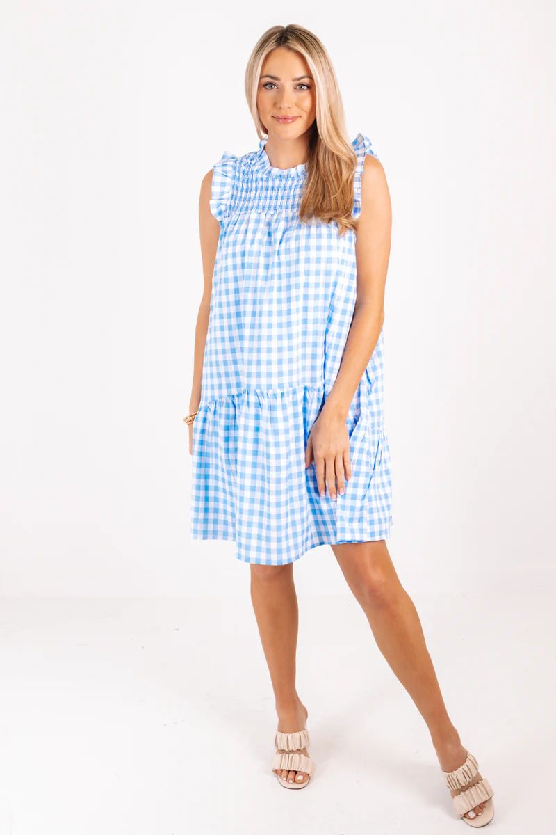 Going Gingham Dress - Baby Blue | The Impeccable Pig