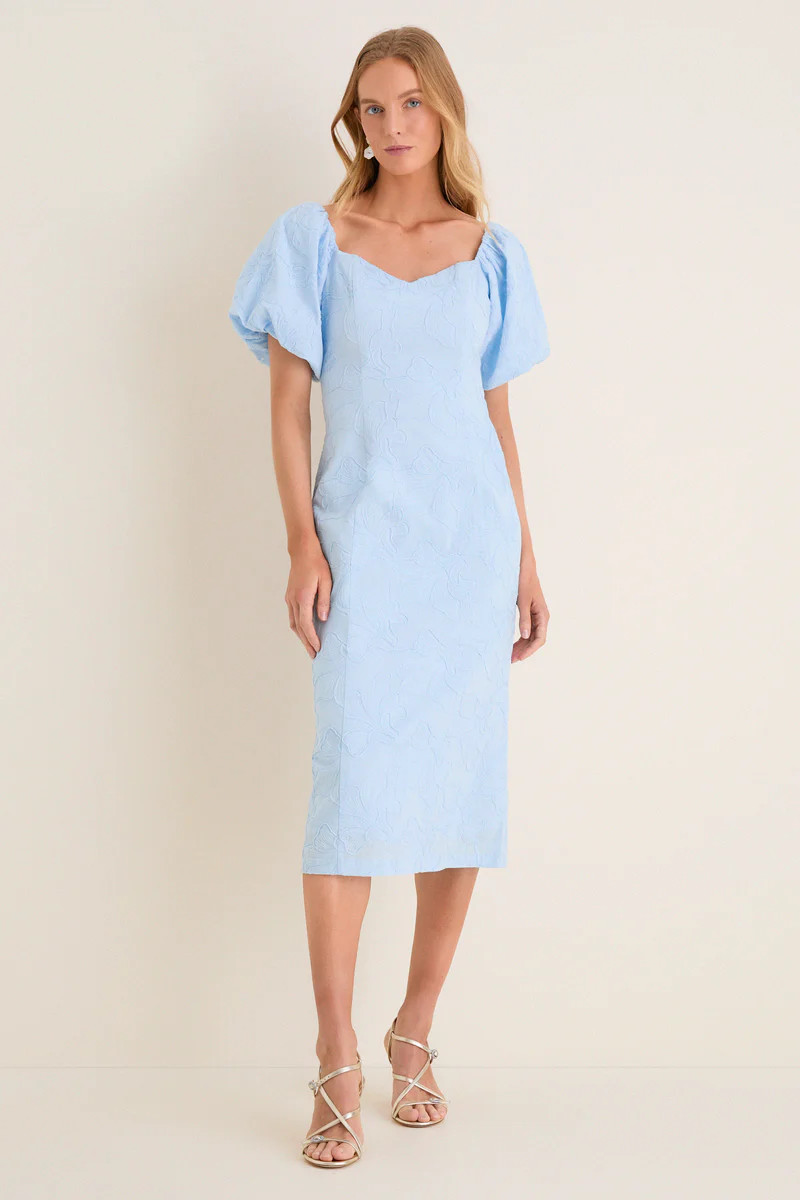 Pale Blue Embroidered Ginkgo Leaf Sallie Midi Dress | Tuckernuck (US)