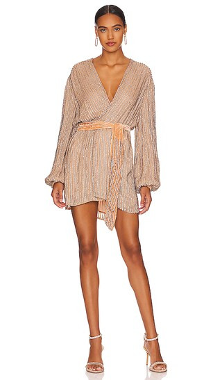Gabrielle Robe in Silver Nude Gap | Revolve Clothing (Global)