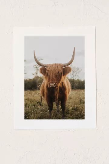 Chelsea Victoria The Curious Highland Cow Art Print | Urban Outfitters (US and RoW)