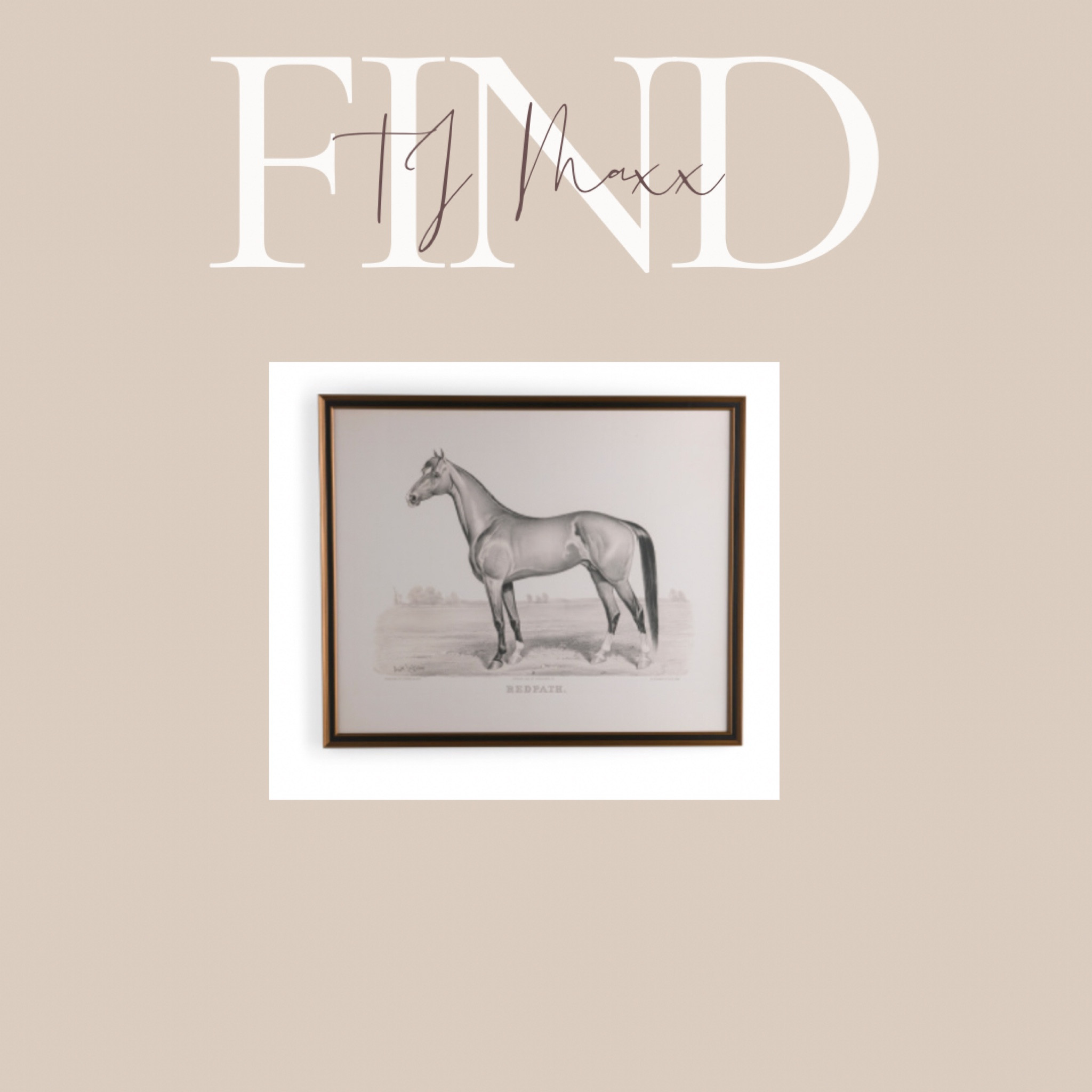 Large vintage horse print 

#LTKhome