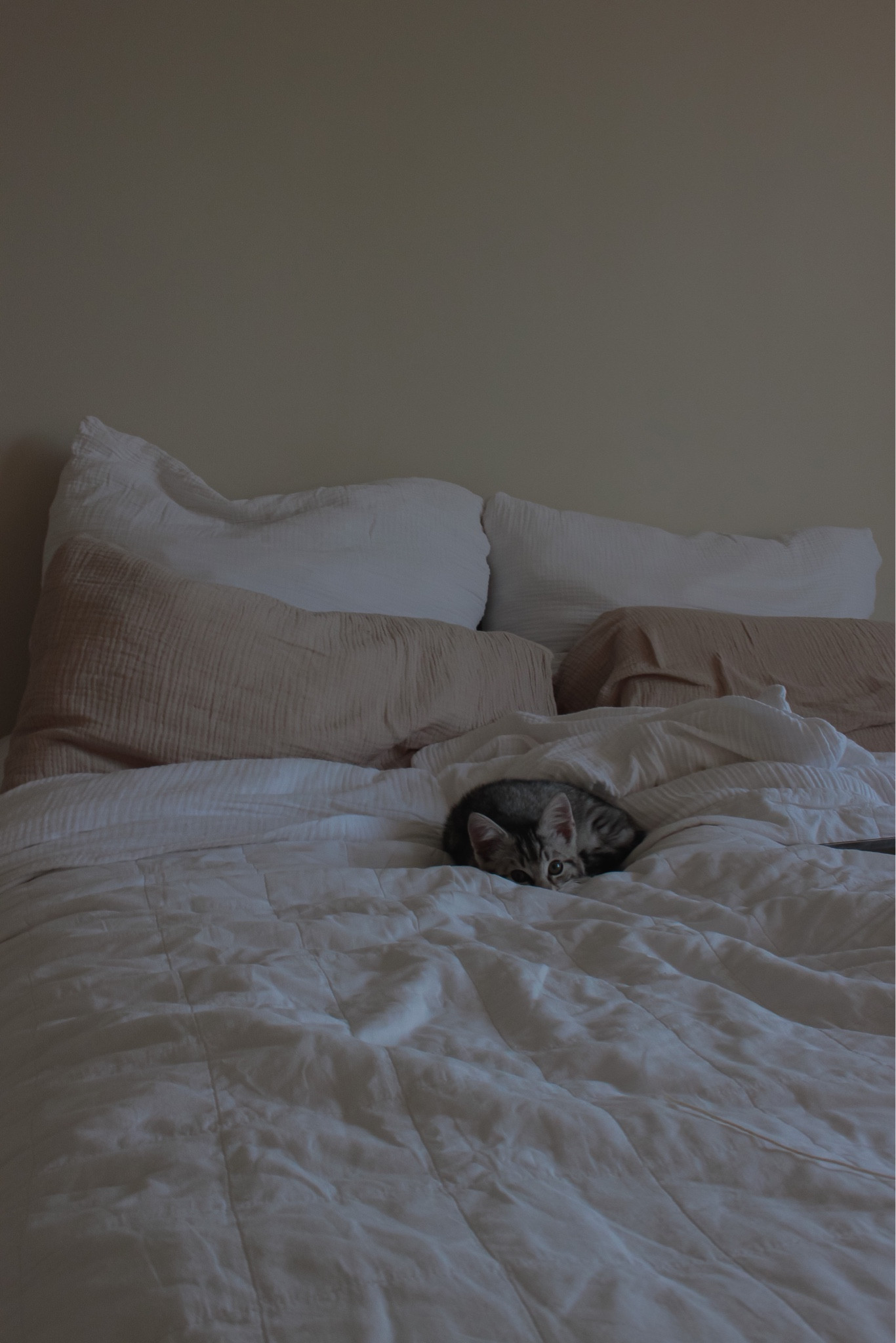 Snuggle time in my lovely bed 🤍

#LTKhome #LTKeurope #LTKstyletip