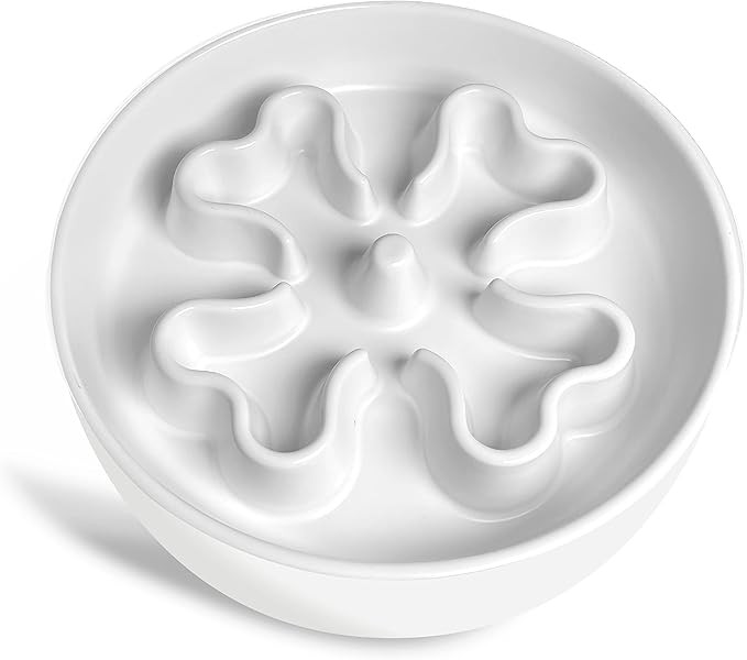 Gocess Slow Feeder,Ceramic-Slow Feeder Dog Bowls Large Breed,Puzzle Dog Food Bowl Maze,Dog Dishes... | Amazon (US)