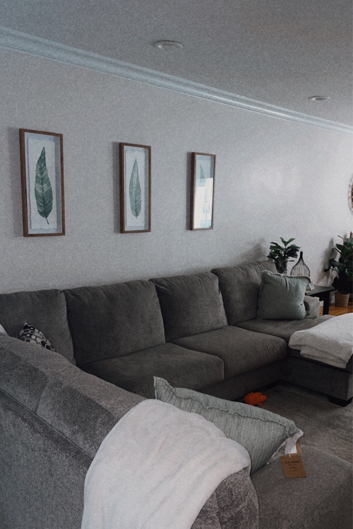 Cozy living room 

#LTKhome #LTKwedding #LTKsalealert