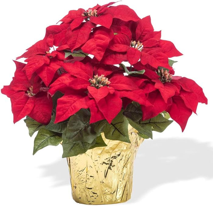 Petals - Medium Premier Silk Poinsettia Plant - Handcrafted - Amazingly Lifelike (Red) | Amazon (US)