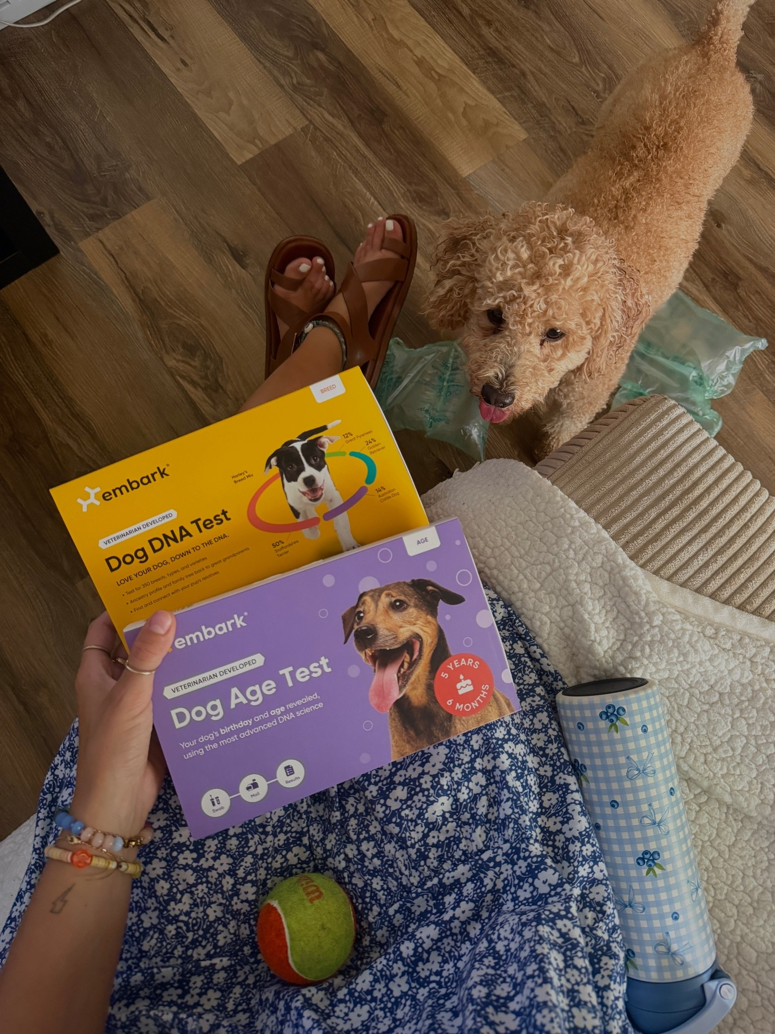 Ready to go on this journey with Frank the Tank (mostly ready to figure out his age) 💙🤍🤎🐶

small in blue floral dress, Amazon
size 8.5 in brown sandals, @Target 
linking up the embark kits too :) 

Amazon dresses, Amazon finds, Amazon fashion, floral dresses, blue and white dresses, Old Navy finds, Old Navy finds, Old Navy fashion, denim tops, outfit of the day, Target shoes, brown sandals, transitional pieces, summer dresses

#LTKSaleAlert #LTKdayinmylife #LTKvlog
