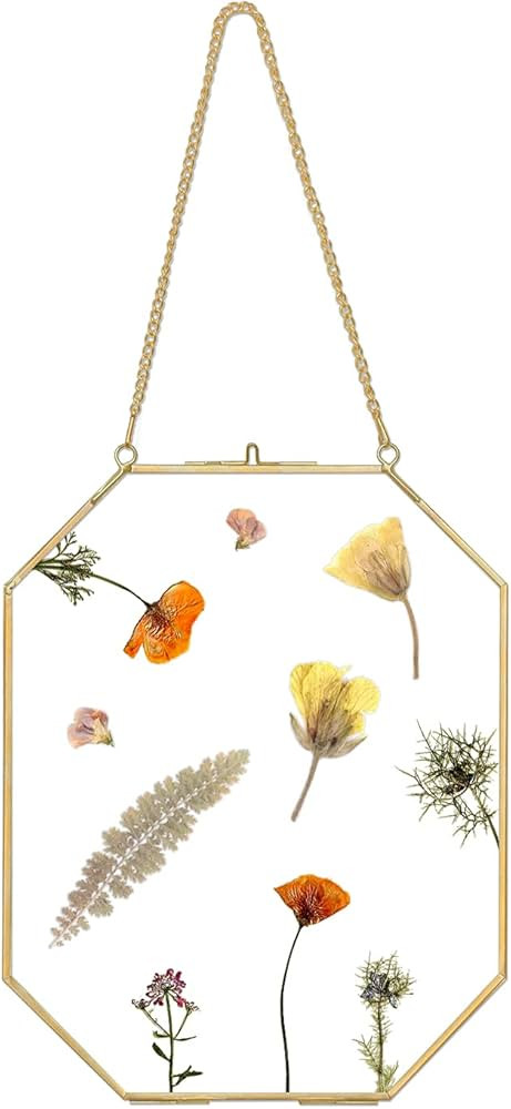 Wall Hanging Gold Brass Photo Frame, Double Clear Floating 8x10 Inches Octagon Geometric Herbariu... | Amazon (US)