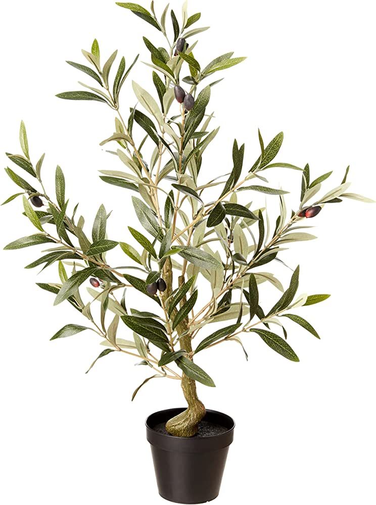 Amazon Brand - Stone & Beam Artificial Olive Tree with Plastic Nursery Pot, 2.2 Feet (26.5 Inches... | Amazon (US)