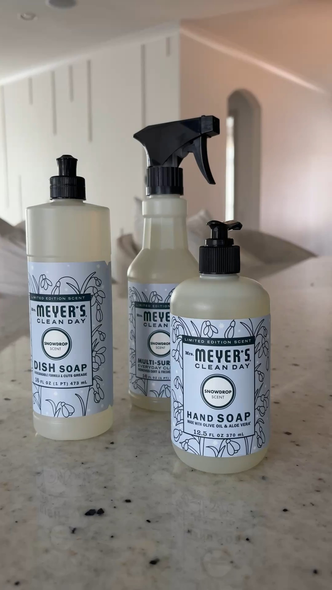 The BEST Mrs. Meyers scent yet! Omg it smells so good! 

#LTKvlog #LTKSeasonal #LTKHome