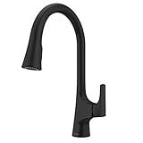 Pfister GT529-NRB Norden Pull Down Kitchen Faucet with Magnetic Docking Spray Head, Matte Black | Amazon (US)