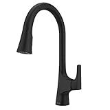 Pfister GT529-NRB Norden Pull Down Kitchen Faucet with Magnetic Docking Spray Head, Matte Black | Amazon (US)